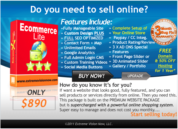 E-Commerce Web Design Packages Lite Price Cost