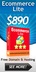 Ecommerce Web Design Packages Lite