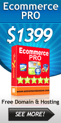 E-Commerce Web Design Packages Professional