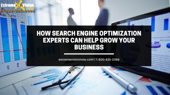 How Search Engine Optimization Experts Can Help Grow Your Business